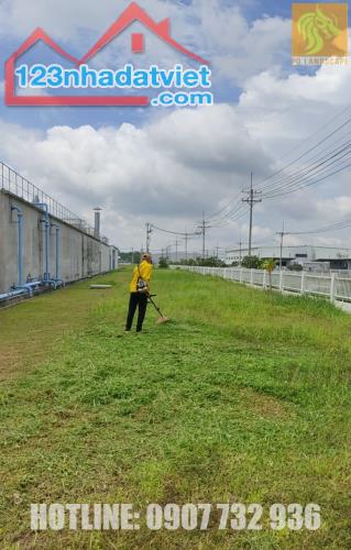 Dịch vụ cắt cỏ phát hoang giá rẻ tại Đồng Nai, Bình Dương