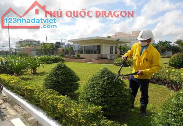 Dịch vụ thuê cắt cỏ, phát hoang giá rẻ uy tín trọn gói ở Đồng Nai, Long An