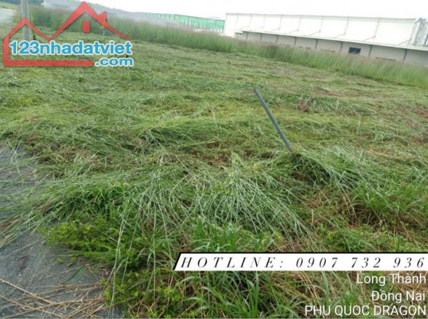 Dịch vụ thuê cắt cỏ, phát hoang giá rẻ uy tín trọn gói ở Đồng Nai, Long An - 1