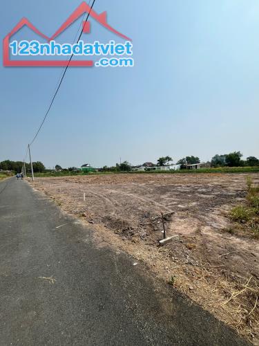 ĐẤT GIÁ RẺ TRỪ VĂN THỐ 58, BÀU BÀNG - 2