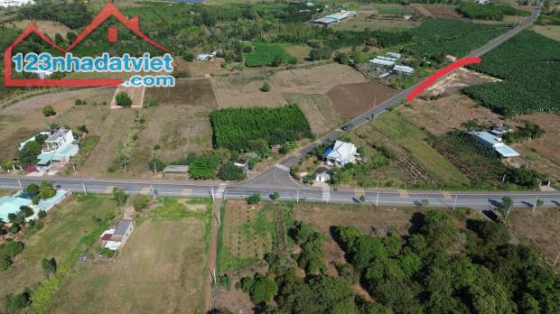 Đất giá rẻ cách biển Long Hải 25 phút đi xe giá 7 triệu/m2 sổ hồng sẵn - 3