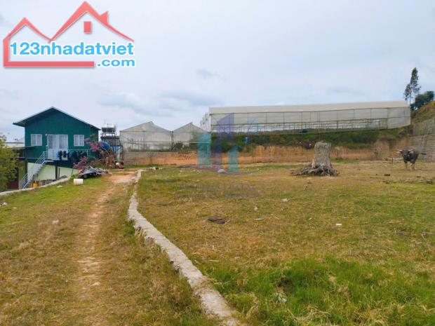 Bán Đất hẻm xe hơi đường Nguyễn Hoàng, Phường 7, Đà Lạt 1690mv - 1