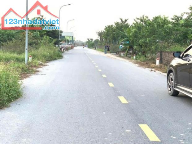 HIẾM: BÁN ĐẤT LÂU NĂM CỬA CẦU, SONG PHƯƠNG, HOÀI ĐỨC, 1106M, 6 TỶ, ĐƯỜNG ÔTÔ - 1