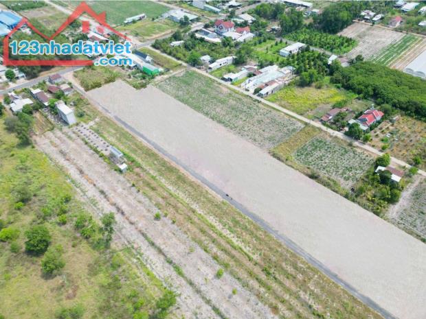 Đất nền kcn Bàu Bàng hiện đang thu hút các nhà đầu tư
