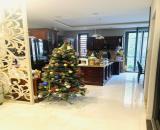 Chỉ 16,5 Tỷ-Bán Căn Nhà Phố Đẹp 1 Trệt 3 Lầu 86m2(5mx17,2m)-An Phú-An Khánh,Quận 2