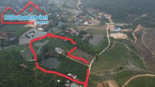 Chính chủ cần bán lô đất Khu 15 Xã Tất Thắng , Huyện Thanh Sơn , Phú Thọ - 1