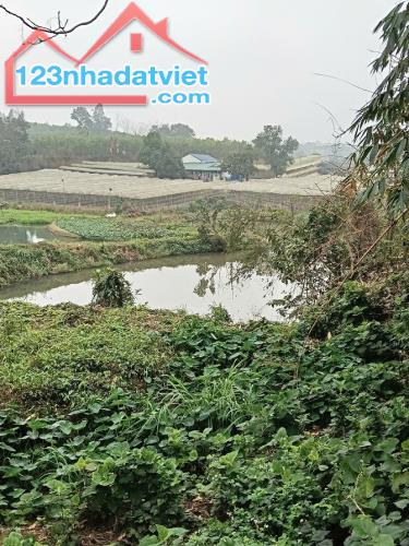 Chính chủ cần bán lô đất Khu 15 Xã Tất Thắng , Huyện Thanh Sơn , Phú Thọ - 2