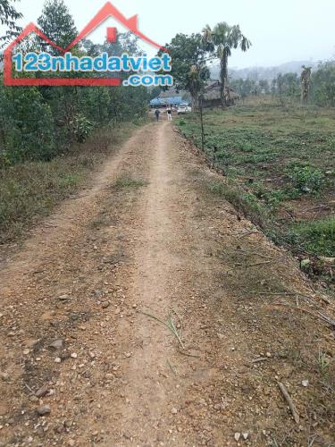 Chính chủ cần bán lô đất Khu 15 Xã Tất Thắng , Huyện Thanh Sơn , Phú Thọ - 3