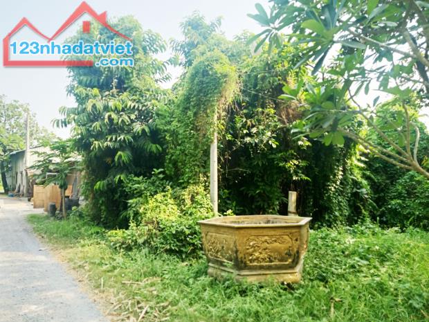 Bán đất 1/ đường Bình Mỹ - 1552m2 - 6.7x81 nở hậu 21m - 100m2 thổ cư - xã Bình Mỹ - Củ Chi