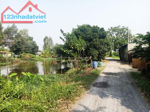 Bán đất 1/ đường Bình Mỹ - 1552m2 - 6.7x81 nở hậu 21m - 100m2 thổ cư - xã Bình Mỹ - Củ Chi - 1