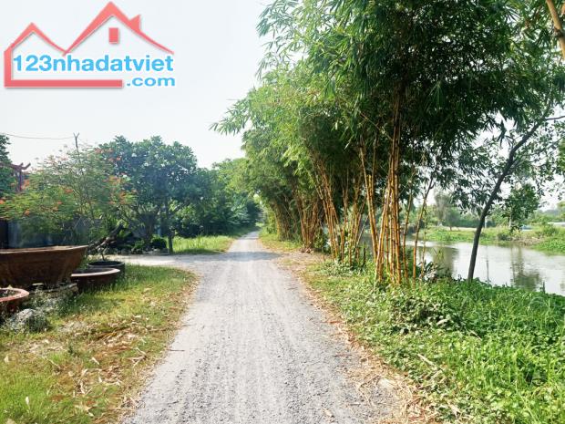 Bán đất 1/ đường Bình Mỹ - 1552m2 - 6.7x81 nở hậu 21m - 100m2 thổ cư - xã Bình Mỹ - Củ Chi - 2