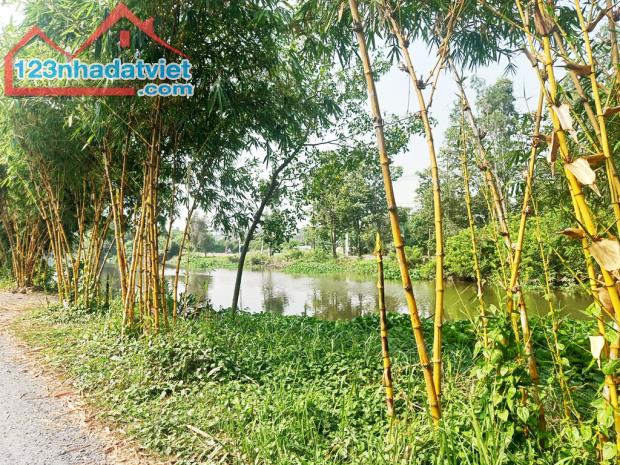 Bán đất 1/ đường Bình Mỹ - 1552m2 - 6.7x81 nở hậu 21m - 100m2 thổ cư - xã Bình Mỹ - Củ Chi - 3