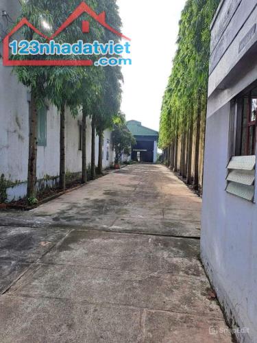 Bán nhà xưởng 1063m2 đường xe container, Tây Hòa, Trảng Bom, giá 5 tỷ 600. - 1