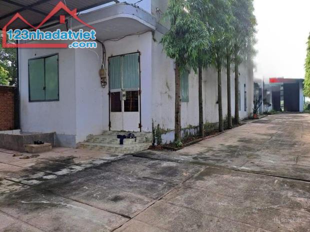 Bán nhà xưởng 1063m2 đường xe container, Tây Hòa, Trảng Bom, giá 5 tỷ 600. - 2