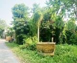 Bán đất 1/ đường Bình Mỹ - 1552m2 - 6.7x81 nở hậu 21m - 100m2 thổ cư - xã Bình Mỹ - Củ Chi