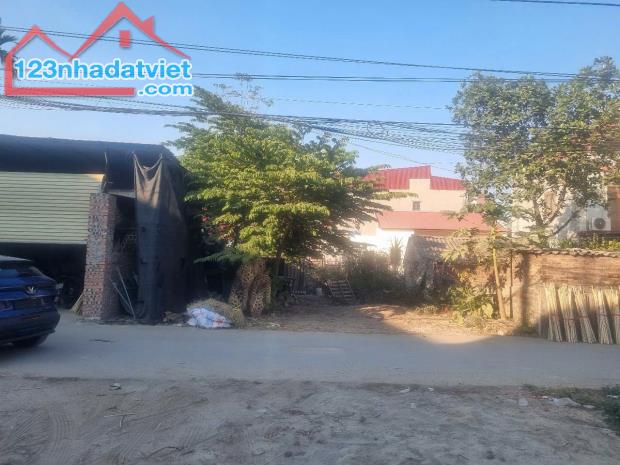 Bán gấp đất THUẬN THÀNH, BẮC NINH- ĐẦU TƯ GIỮ TIỀN- ĐƯỜNG 3 Ô TÔ TRÁNH- 300m2 chỉ 16tr/m2