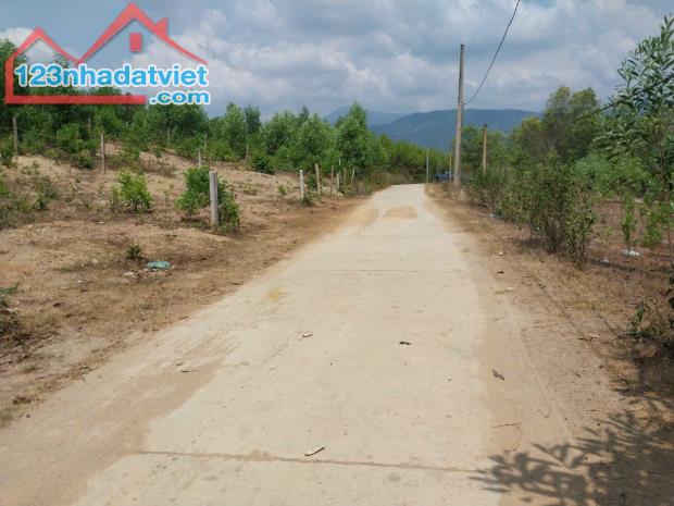 Cần bán 2 lô đất quy hoạch thổ cư Bến Khế, Khánh Bình, Khánh Vĩnh, Khánh Hòa - 3