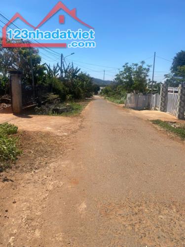 🍎#Bán Đất 5x26m mặt tiền đường nhựa B2 Phạm Ngũ Lão Buôn Ma Thuột 1tỷ590triệu - 1