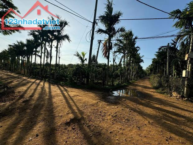 Đất rẫy Ea Tiêu - Cư kuin gốc 2 mặt tiền siêu đẹp