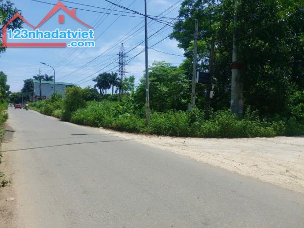 Chính chủ cần tiền bán gấp tuyến 1 Đồi Đốm công ty may - mặt công nghệ cao giá rẻ - 2
