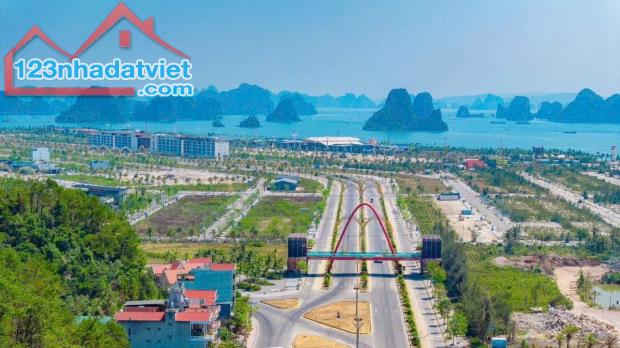 30 lô Phương Đông Vân Đồn sổ đỏ chính chủ, đủ vị trí đẹp, giá từ hơn 1,9 tỷ - 3