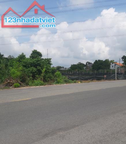 1077m2 Mặt Tiền Ba Sa Trung Lập Hạ Củ Chi TP. Hồ Chí Minh chỉ 3,5 tỷ - 2