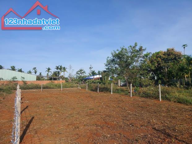 Đất hẻm cấp 1 Quốc Lộ 14 - Cuôr Đăng (10 x 24m) - chỉ 850 triệu - 1