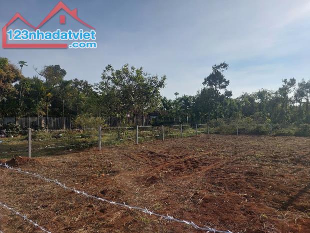 Đất hẻm cấp 1 Quốc Lộ 14 - Cuôr Đăng (10 x 24m) - chỉ 850 triệu - 2