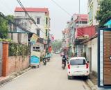 NHẬT TÂN - TP THÔNG MINH - VIN TÀM XÁ - CÔNG VIÊN KIM QUY - OTO VÀO ĐẤT - CÁCH TRỤC CHÍNH