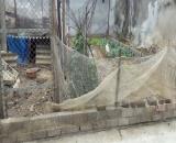 113M2 ĐỒNG TRÚC, GIÁP ĐƯỜNG ĐL THĂNG LONG