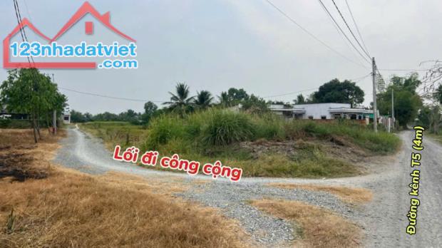 2400m2 đất 3 mặt tiền đường ( có 700m2 thổ) xã Tân Lân, Cần Đước Giá 4 tỷ - 4