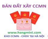 🏠 BÁN ĐẤT XÂY TÒA NHÀ- NGÕ 177 PHỐ VỌNG - 73M2  - GIÁ 8.1 TỶ - hangmini.com