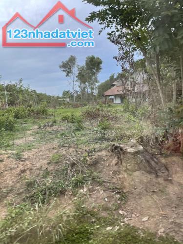 Đất đẹp- giá tốt Chính chủ cần bán nhanh lô đất mặt tiền vị trí tại huyện Xuân Lộc, tỉnh