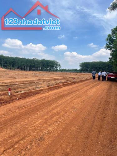 1000m2 ngang 32m gần KCN visip Tân Hòa Đồng Phú Bình Phước chỉ cần 200 triệu