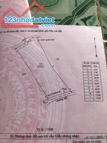 Cần bán 3.5 xào cà phê con mới trồng, sầu riêng con