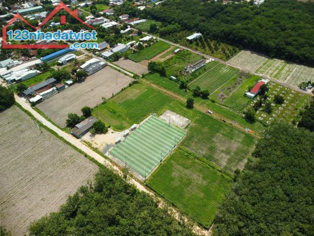 Bán gấp 15.000m2 đất ở thị trấn Tân Châu Tây Ninh