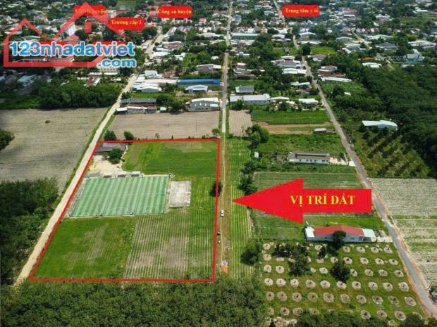 Bán gấp 15.000m2 đất ở thị trấn Tân Châu Tây Ninh - 3