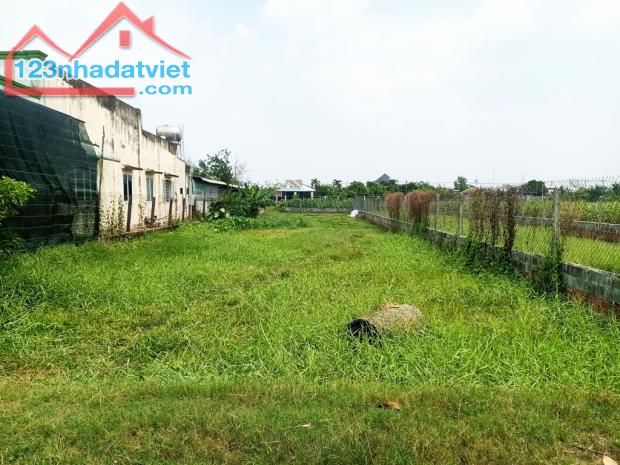 Bán đất thổ cư 784m² (11.5m x 64m), Nguyễn Thị Ngoạn, Trung Lập Thượng, Củ Chi, hướng Tây