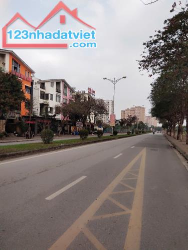 Bán Đất Tặng Nhà-Việt Hưng-Ô Tô Đỗ Cửa-Vuông Đẹp-View Thoáng-Trung Tâm-Tiện Ích-58M-6,6 Tỷ - 4