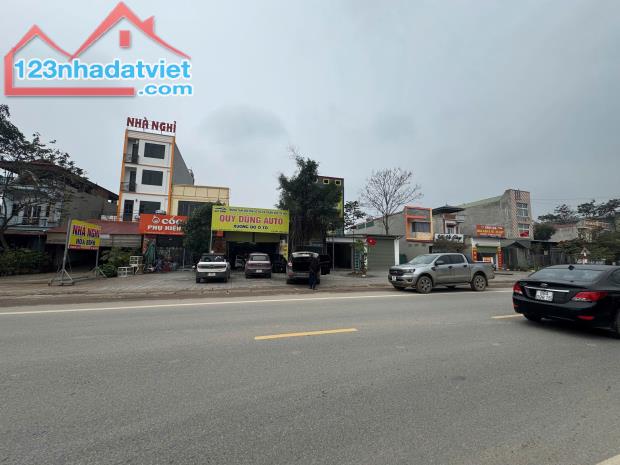 Bán đất QL2C, Cầu Đỏ, Đạo Tú, Tam Dương, Vĩnh Phúc - 1