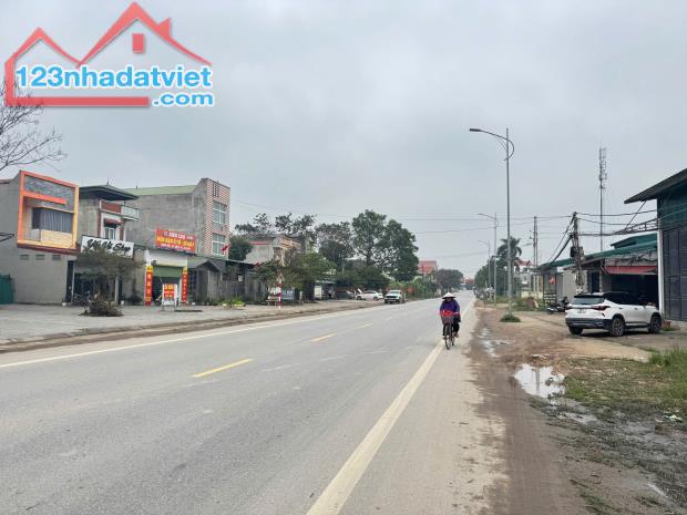 Bán đất QL2C, Cầu Đỏ, Đạo Tú, Tam Dương, Vĩnh Phúc - 2