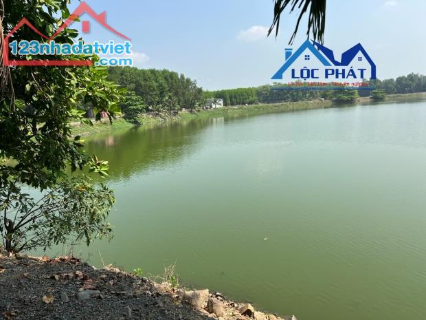 Bán đất mặt Hồ 10.300m2 giá 27 tỷ Thạnh Phú Vĩnh Cửu Đồng Nai. - 5