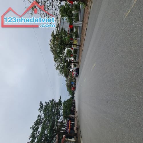 Biệt thự đơn lập 200m2 đường 16m tại Gia Lâm, Hà Nội. Lh 0989894845