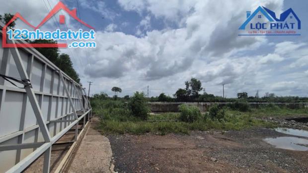 Bán đất xây dựng nhà xưởng SKC 5287m2 giá chỉ 12,5 tỷ. Tân An-Vĩnh Cửu-Đồng Nai - 2