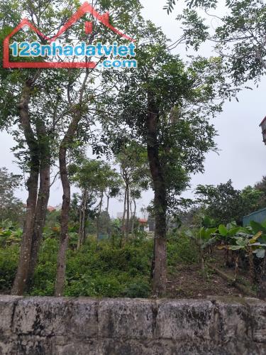 Đất mặt tiền KD đa ngành đường liên thôn xã Chuyên Mỹ, mt 6m giá chỉ 19.5tr - 3