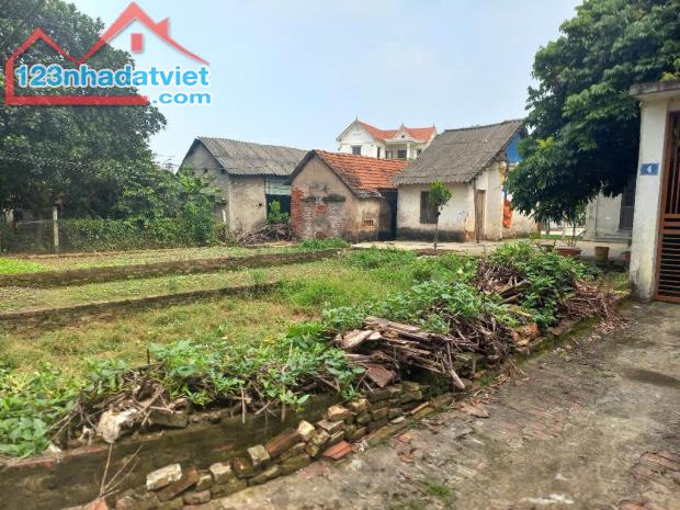 Bán nhà Cát ngòi 42m², sổ đỏ chính chủ, oto đỗ cửa – giá chỉ 2.45 tỷ!