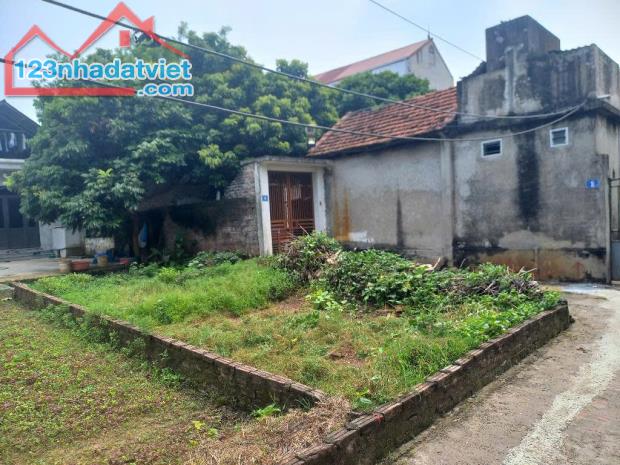 Bán nhà Cát ngòi 42m², sổ đỏ chính chủ, oto đỗ cửa – giá chỉ 2.45 tỷ! - 1
