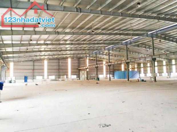 Cho Thuê Xưởng KCN Bình Dương – Diện Tích 10.000m², Giá Tốt. Liên hệ ngay để xem xưởng - 3