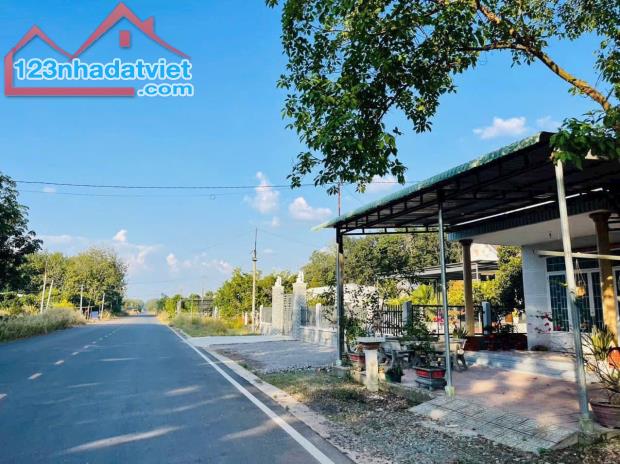 CẦN BÁN NHANH 25X45= 1125M2 ĐẤT ĐỐI DIỆN TRƯỜNG HỌC GẦN KCN TIỆN MỞ QUÁN CHÈ. GIÁ 180 TRIỆ - 1