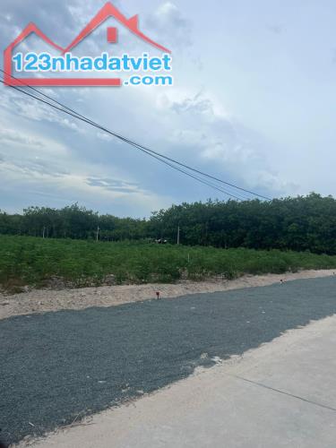 Bán Sào Đất 1.480 M2,Thổ Cư Sẳn Liền Kề,Giá 225 Triệu,Nhựa đổ vào 500m, Gần TT chợ trường - 4
